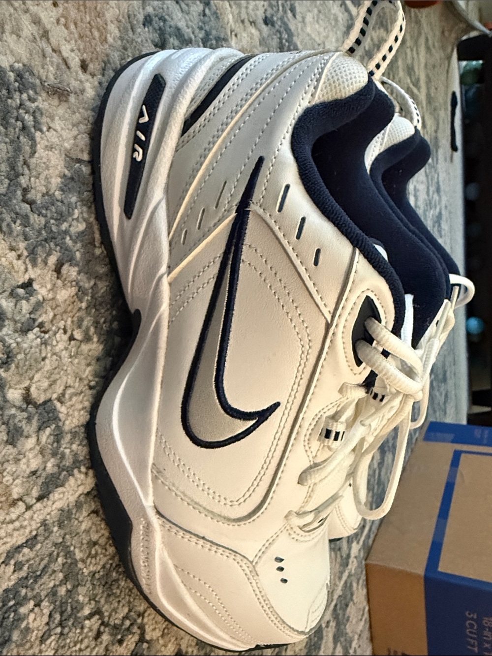 Nike Air Monarch shoe